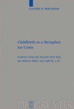 Childbirth As A Metaphor For Crisis