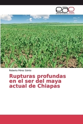 Rupturas Profundas En El Ser Del Maya Actual De Chiapas