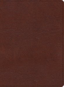 KJV Study Bible, Large Print Edition, Brown Bonded Leather