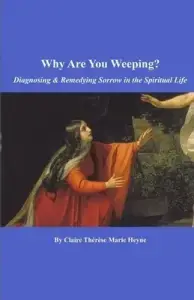 Why Are You Weeping?: Diagnosing & Remedying Sorrow in the Spiritual Life