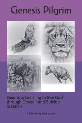 Dear Job: Learning to See God through Despair and Suicide Ideation: A Bible Study Book on Job