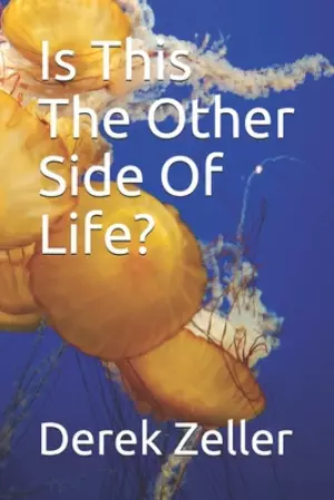 Is This The Other Side Of Life?: Derek Zeller