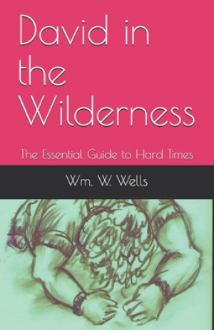 David in the Wilderness: The Essential Guide to Hard Times