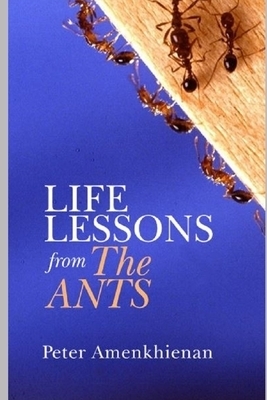 Life Lessons from the Ants