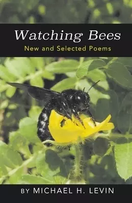 Watching Bees