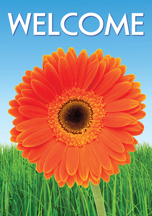 Gerbera Welcome