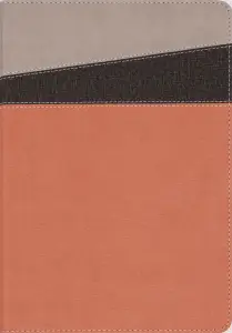 NIV Application Bible, Leathersoft, Coral/Gray, Red Letter, Comfort Print