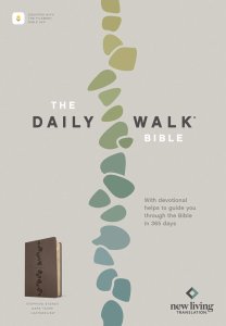 Daily Walk Bible NLT, Filament Enabled (LeatherLike, Stepping Stones Dark Taupe)