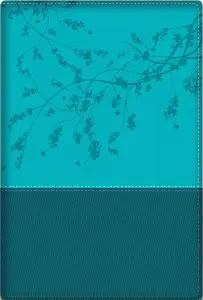 Woman After God's/Heart Bible-Teal (New)