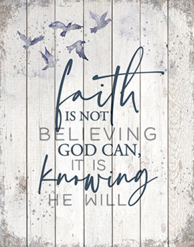 Wall Plaque-Timberland Art-Faith Is Not (11.75" x 15")