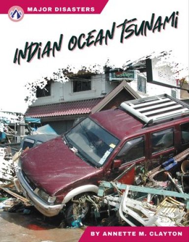 Major Disasters: Indian Ocean Tsunami