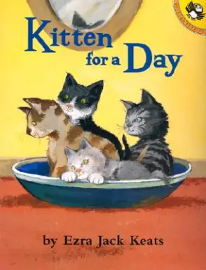 Kitten for a Day