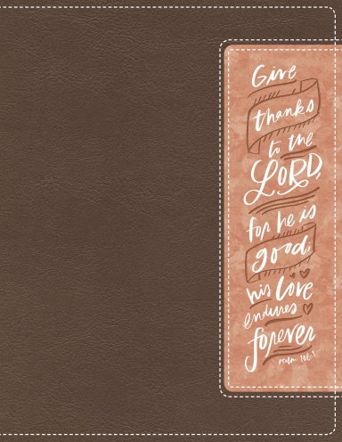 NIV, Beautiful Word Bible, Updated Edition, Peel/Stick Bible Tabs, Leathersoft, Brown/Pink, Red Letter, Comfort Print