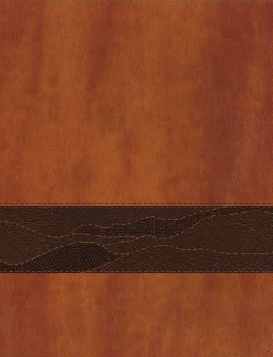 Rooted: The NIV Bible for Men, Leathersoft, Brown, Comfort Print