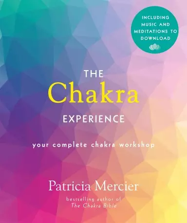 The Chakra Experience