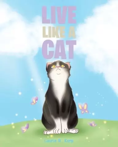 Live like a Cat