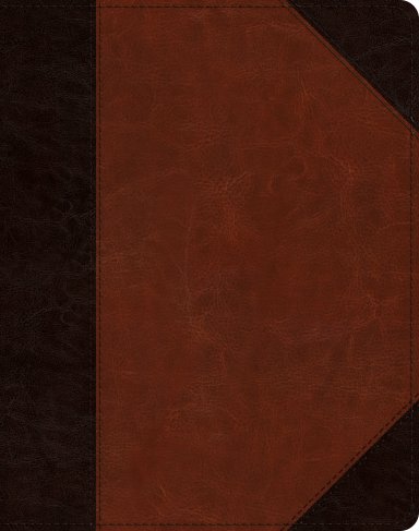 ESV Single Column Journaling Bible (TruTone, Brown/Cordovan, Portfolio Design)