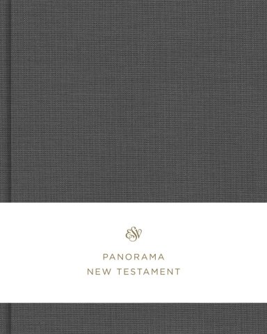 ESV Panorama New Testament (Cloth over Board, Gray)