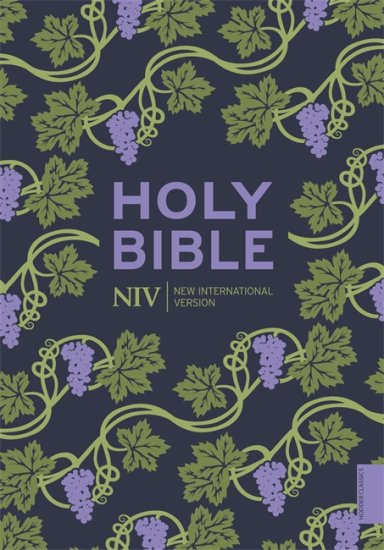 niv-holy-bible-purple-paperback-hodder-classic-design-reading-plan-anglicized-text-topics