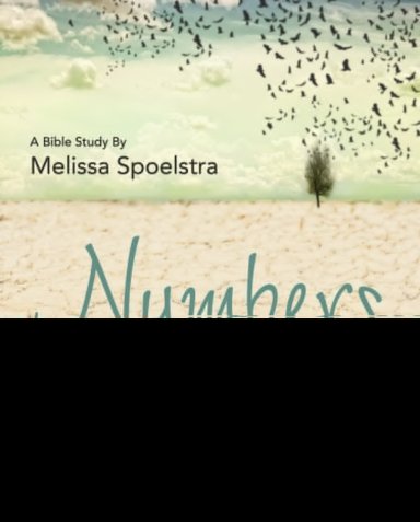 Numbers - Women's Bible Study Participant Workbook