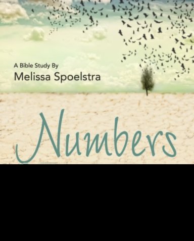 Numbers - Women's Bible Study DVD