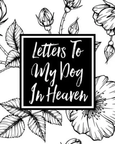 Letters To My Dog In Heaven