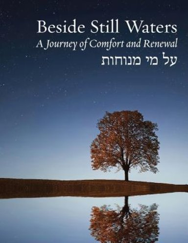 Beside Still Waters: A Journey of Comfort and Renewal - Large Print Edition