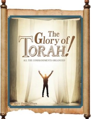 THE GLORY OF TORAH!: All the Commandments organized