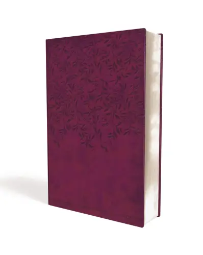 NKJV Women Of Faith Plum Devotional Bible Imitation Leather