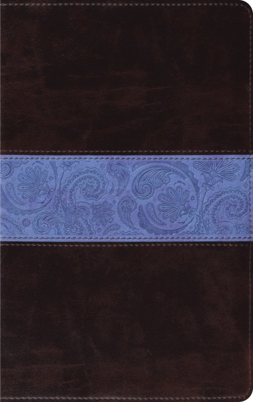 ESV Thinline Bible: Chocolate & Blue, Paisley Design, Trutone