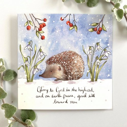 Hedgehog (Pack of 5) Christian Christmas Cards