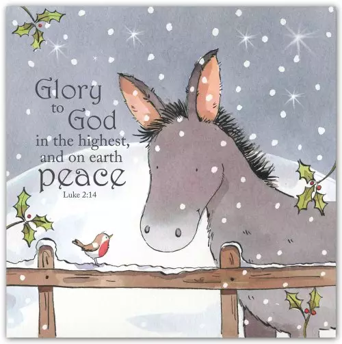 Little Donkey (Pack of 5) Christian Christmas Cards