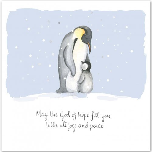 Penguin (Pack of 5) Christian Christmas Cards