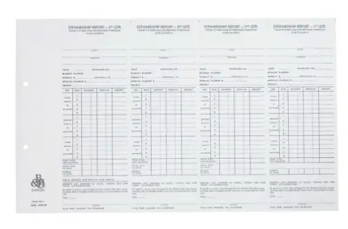 Individual Stewardship Record and Report with IRS Statement