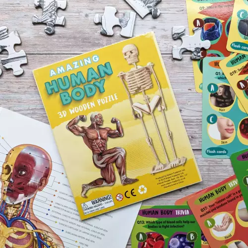 Amazing Activity Set - Human Body