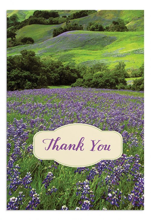 Thank You - Landscapes - 12 Boxed Cards, KJV