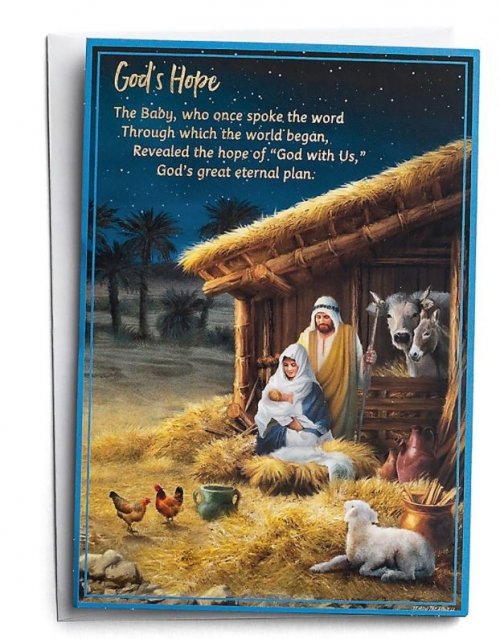 Christmas Story Panel Christian Christmas Cards Box Of 18