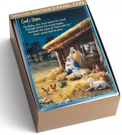 Christmas Story Panel Christian Christmas Cards Box Of 18