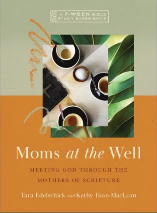 Moms at the Well: Meeting God Through the Mothers of Scripture--A 7-Week Bible Study Experience