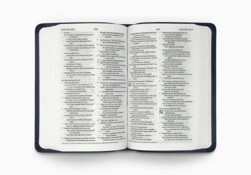 ESV Value Compact Bible (TruTone, Navy)