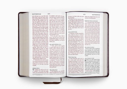 ESV Large Print Personal Size Bible TruTone®, Mahogany