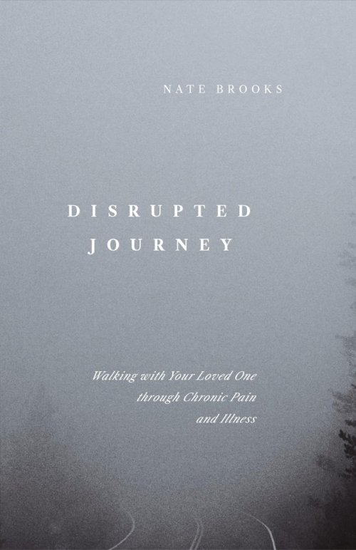 Disrupted Journey