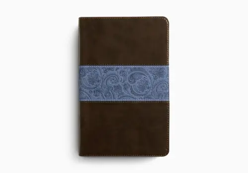 ESV Thinline Bible: Chocolate & Blue, Paisley Design, Trutone