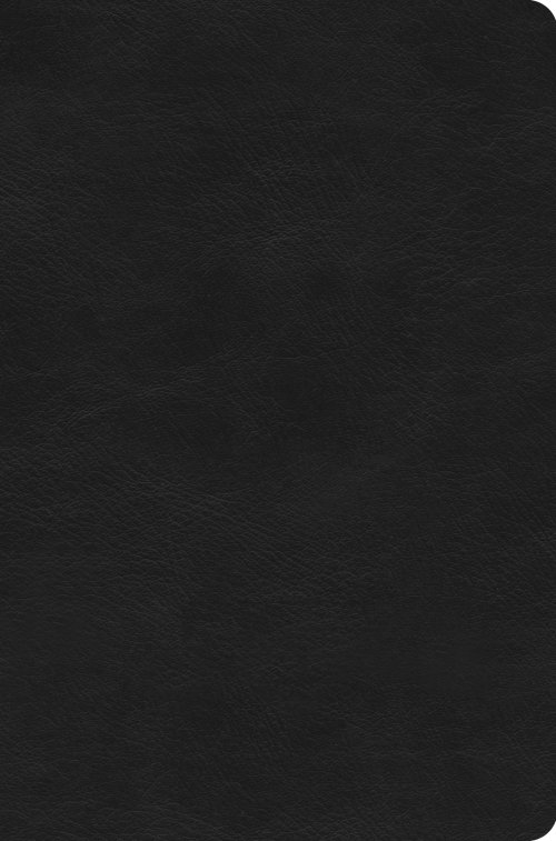 ESV Value Compact Bible (TruTone, Black)