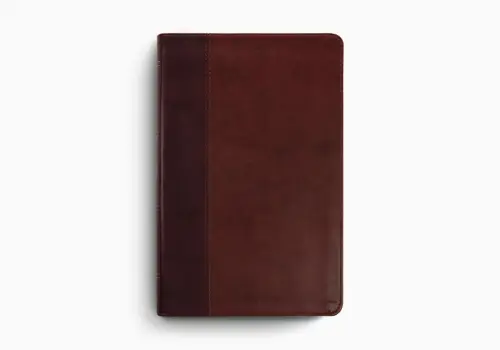 ESV Large Print Thinline Bible (TruTone, Burgundy/Red, Timeless Design)