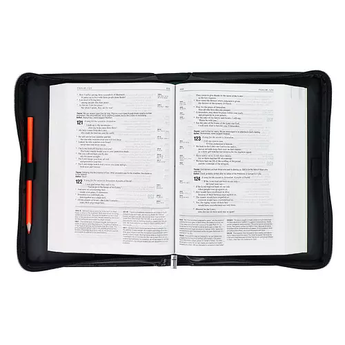 Large Be Strong Lion Two-Tone Classic Bible Cover