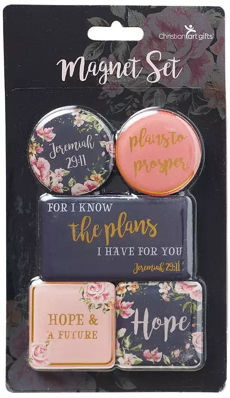 I Know The Plans Magnet Set