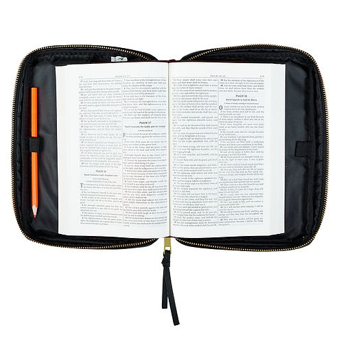 Medium Amazing Grace Two-Tone Lux Leather Bible Cover