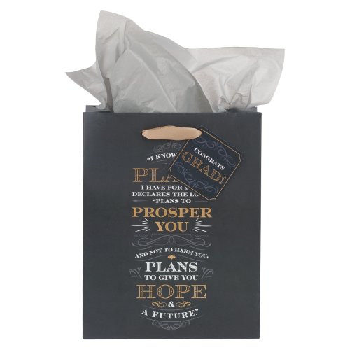 I Know the Plans - Jeremiah 29:11 Blue Medium Portrait Gift Bag w/Tissue Paper Set