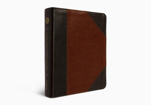 ESV Single Column Journaling Bible (TruTone, Brown/Cordovan, Portfolio Design)